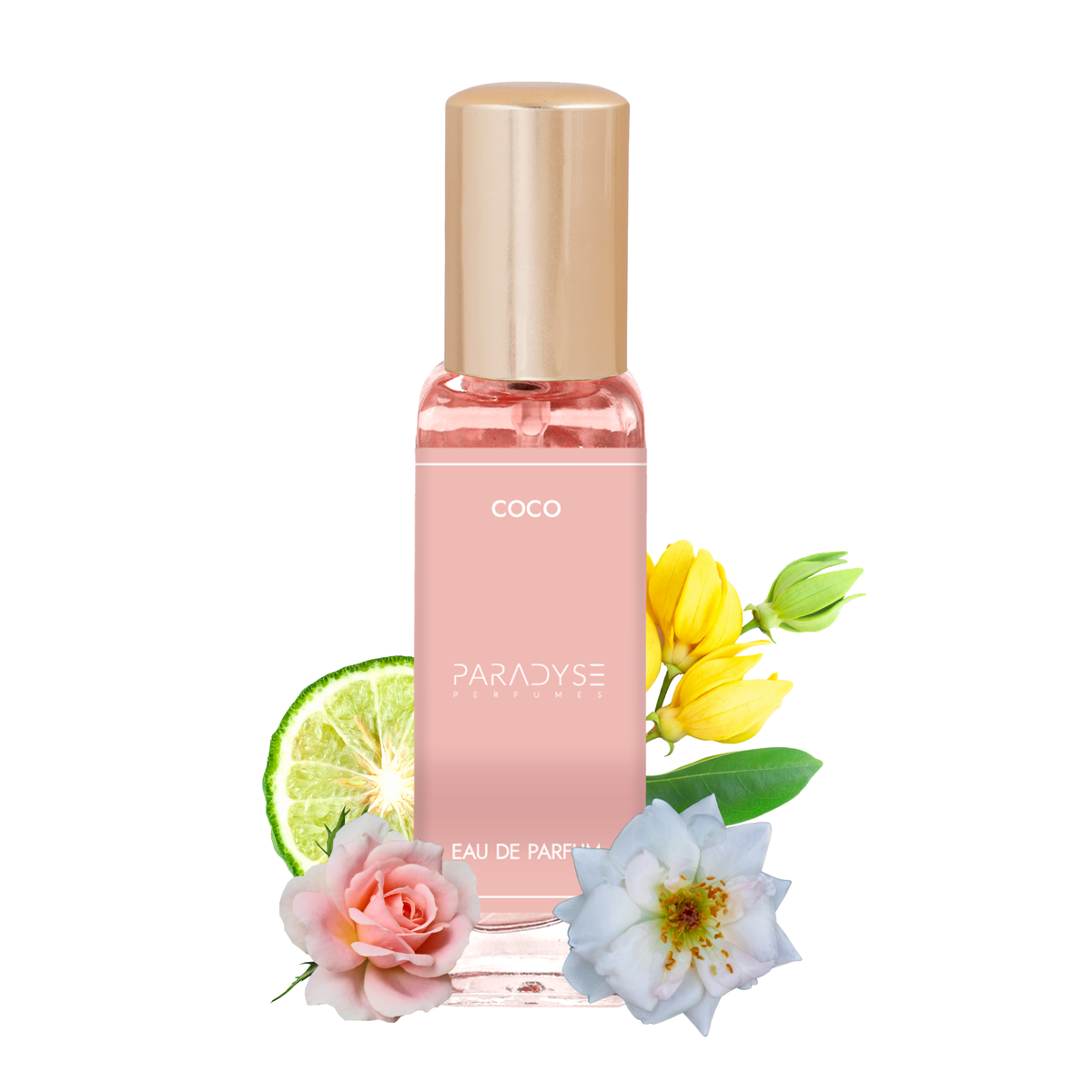 Coco-20ML