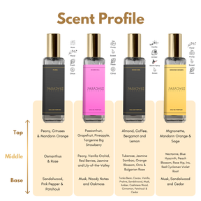 Luxury Perfume Tester Kit For Women's 4 x 20mls