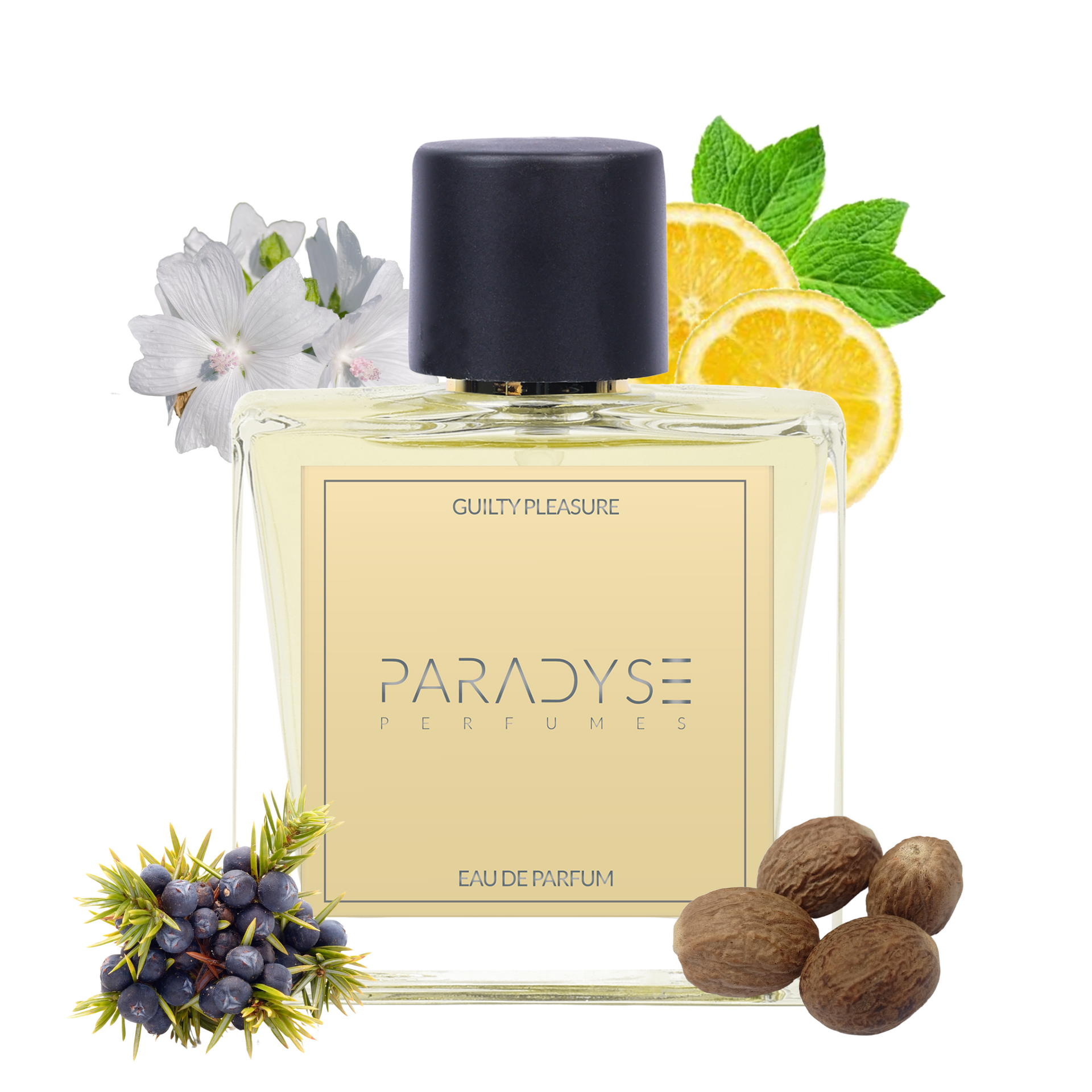 Locion Cardigan Cardigan For Men Esika Perfume Cardigan Evolution