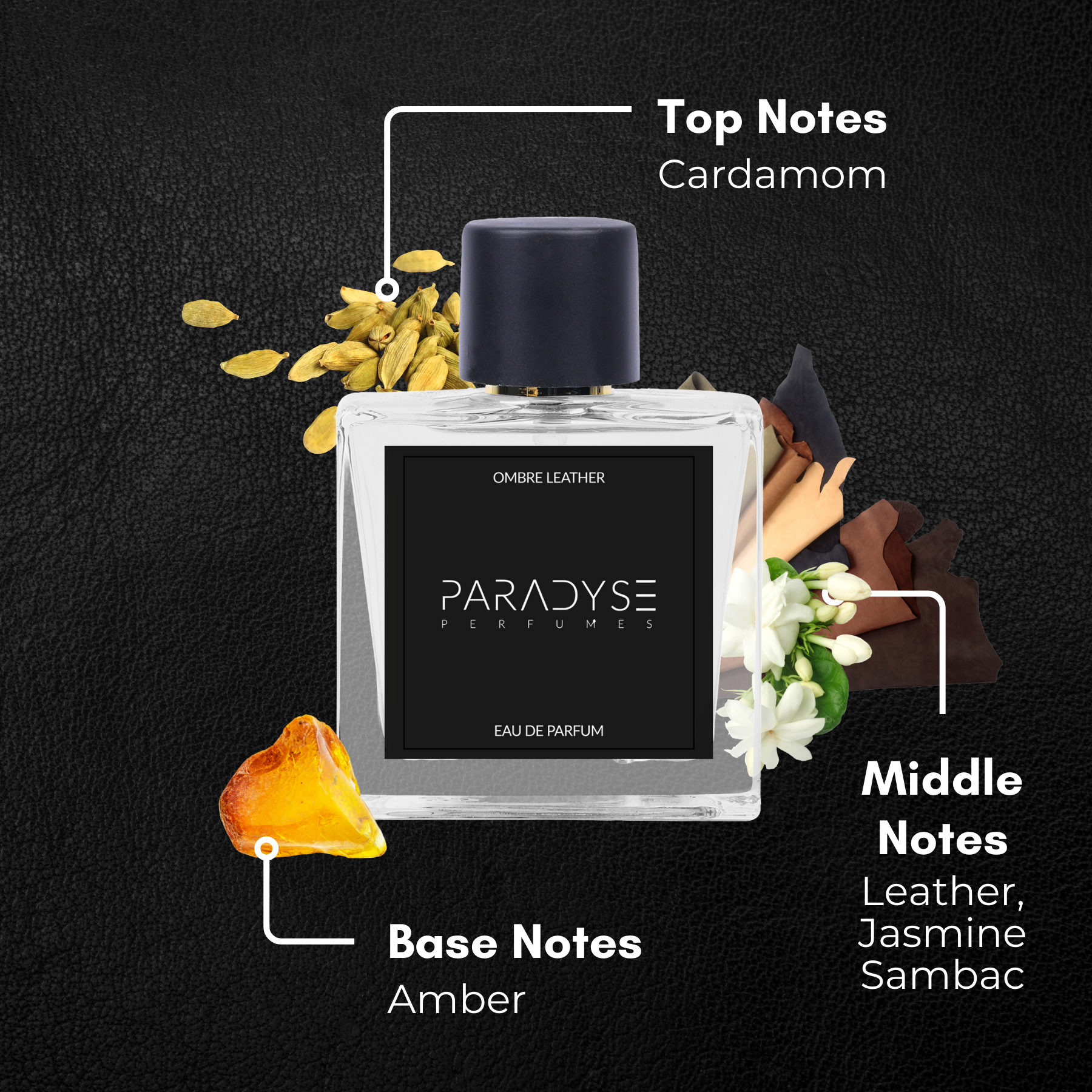 Ombre Leather - Main Image